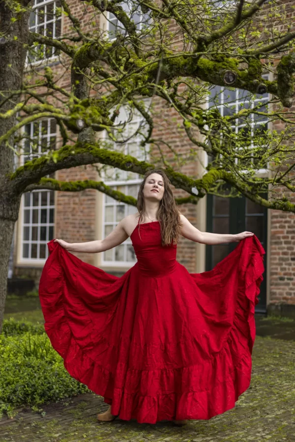 Red PhoeniX Dress